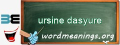 WordMeaning blackboard for ursine dasyure